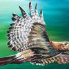 Red-Tailed Hawk, 18" x 36", acrylic on canvas