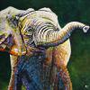 Baby Elephant, 20" x 20", acrylic on canvas