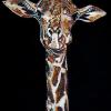 Rusty - Giraffe on Black, 16" x 24", acrylic on canvas