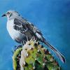Northern Mockingbird, 11" x 14", acrylic on canvas