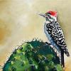Ladder-backed woodpecker, 12” x 18”, acrylic on canvas