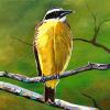 Great Kiskadee, 8” x 24”, acrylic on canvas