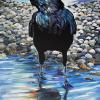 American Crow in High River, 16" x 24", acrylic on gallery canvas