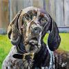 Sadie, 12" x 12", acrylic on gallery canvas