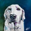 Roxy, 12" x 12", acrylic on gallery canvas
