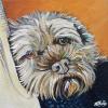 Coco, 12" x 12", acrylic on gallery canvas