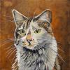Ashley Cat, 12" x 12", acrylic on canvas