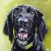 Cinder dog, 20" x 20", acrylic on gallery canvas