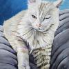 Luna Tuna, 16" x 20", acrylic on gallery canvas