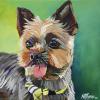 Rocco, 12" x 12", acrylic on canvas