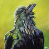 Draven the Raven, 24" x 24", acrylic on gallery canvas
