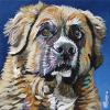 Lucy, 12" x 12", acrylic on gallery canvas