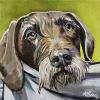 Rosie, 12" x 12", acrylic on gallery canvas