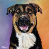 Archer, 14" x 14", acrylic on gallery canvas