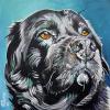 Buck, 12" x 12", acrylic on gallery canvas