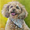 Wilson, 12" x 12", acrylic on canvas