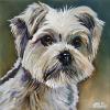 Louie, 12" x 12", acrylic on canvas