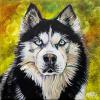 Odin, 12" x 12", acrylic on canvas