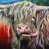 Hamish the Heilan' coo, 20" x 30", acrylic on canvas