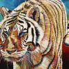 Sheera the Tiger, 20" x 30", acrylic on canvas