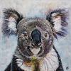 Koala Bear, 20" x 20", acrylic on canvas