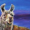 Higgins the Llama, 16" x 24", acrylic on canvas