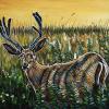 Buck on the hill, 24" x 36", acrylic on canvas