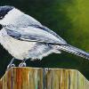 Chickadee, 12" x 16", acrylic on canvas