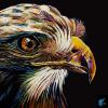 Eagle on Black, 16" x 16", acrylic on canvas