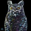 Owl on Black, 16" x 16", acrylic on canvas