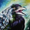 Banff Raven, 24" x 24", acrylic on canvas