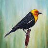 Yellow Headed Blackbird, 12" x 16", acrylic on canvas