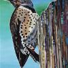 Northern Flicker, 12" x 18", acrylic on canvas