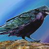 Fort McMurray Raven, 20" x 30", acrylic on canvas