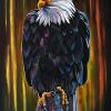 Watching (Bald Eagle), 20" x 30", acrylic on canvas