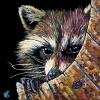 Raccon on Black, 12" x 12", acrylic on canvas