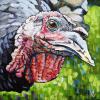 Gobble Gobble, 16" x 16", acrylic on canvas