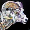 Bighorn Sheep on Black, 22" x 22", acrylic on black