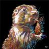 Prairie Dog on Black, 16" x 16", acrylic on canvas