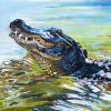 Alister the Alligator, 16" x 16", acrylic on canvas