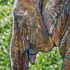 Chang the Elephant, 20" x 30", acrylic on canvas