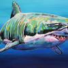 The Shark, 20" x 30", acrylic on canvas